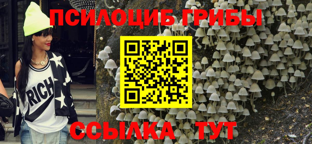 Галлюциногенные грибы Cubensis Лосино-Петровский